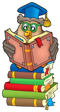 Reading owl teacher on books clipart