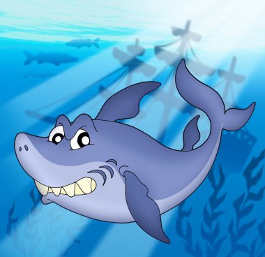 Shark with shipwreck clipart