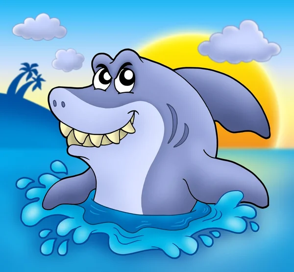 Tiburón de dibujos animados con puesta de sol — Foto de Stock