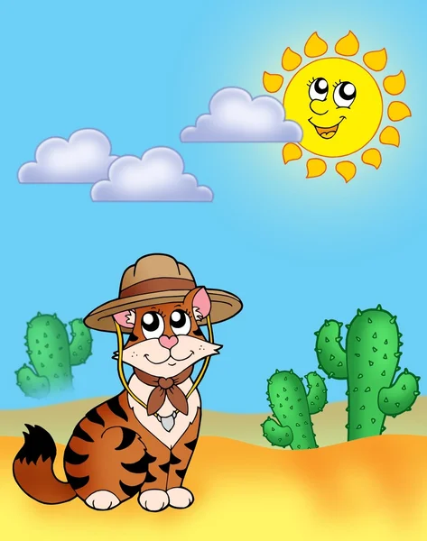Gato em chapéu ao ar livre — Fotografia de Stock