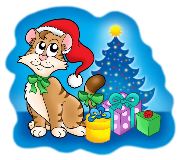 Gato con árbol de Navidad y regalos — Foto de Stock