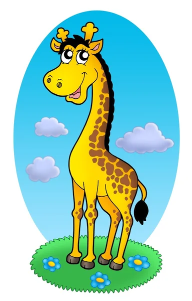 Милый жираф, стоящий на траве — стоковое фото