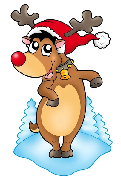 Cute Christmas reindeer — Stock Photo, Image
