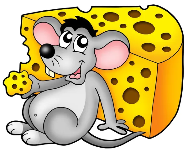 Cute mouse eating cheese — Stock Photo, Image