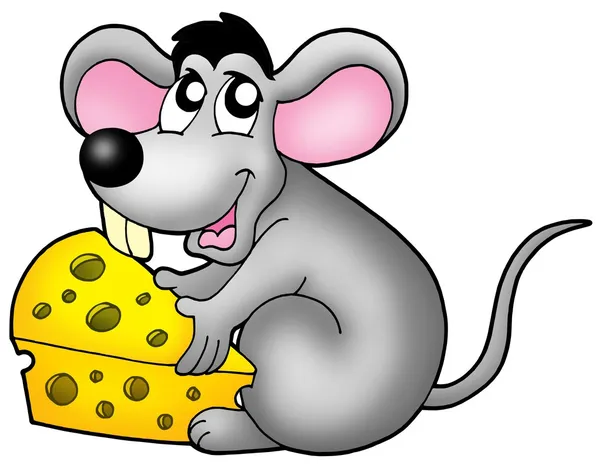 Cute mouse holding cheese — Stock Photo, Image