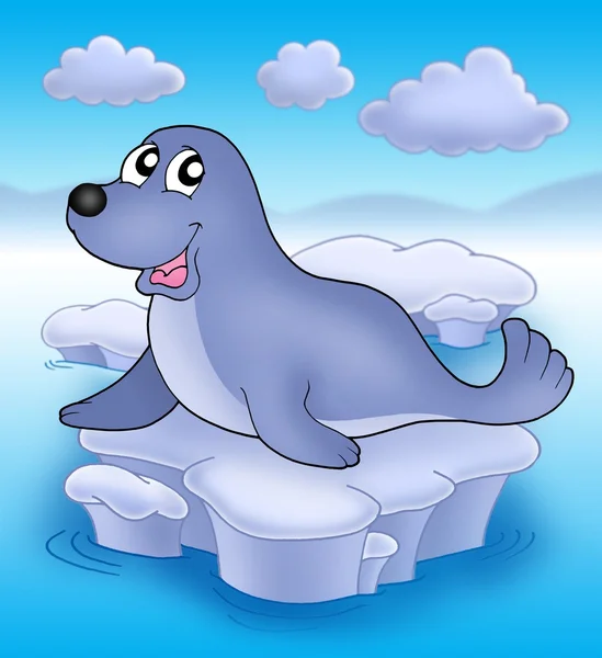 Cute seal on iceberg — Stock Photo, Image