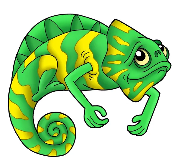 Zielony kameleon — Zdjęcie stockowe