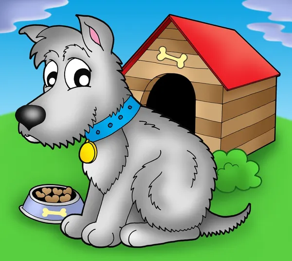 Grey dog in front of kennel — Stock Photo, Image