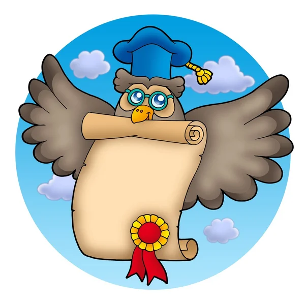 Owl teacher with diploma on sky — Stock Photo, Image