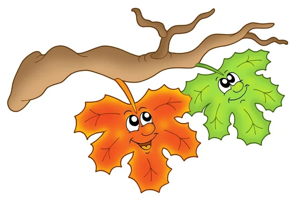 Ζευγάρι του φθινοπώρου φύλλα σε κλάδο — Φωτογραφία Αρχείου