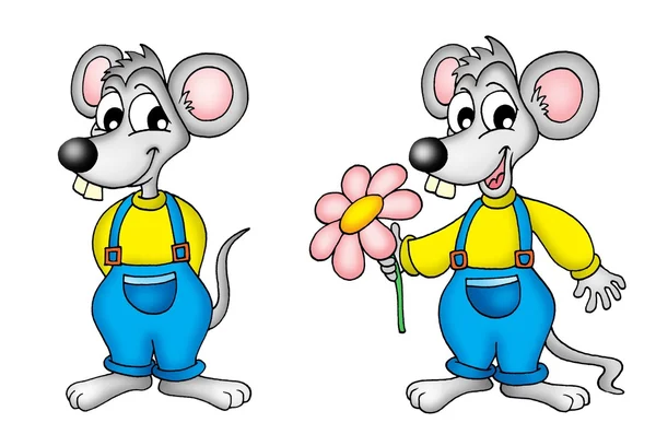 Dvojice myši — Stock fotografie