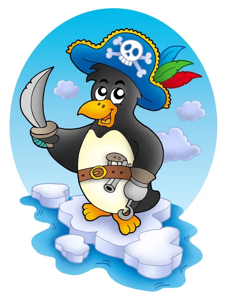 Pingüino pirata en iceberg —  Fotos de Stock
