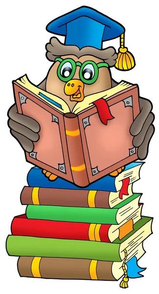 Чтение учителя совы на книгах — стоковое фото