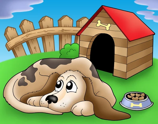 Sad dog in front of kennel 1 — Stock Photo, Image