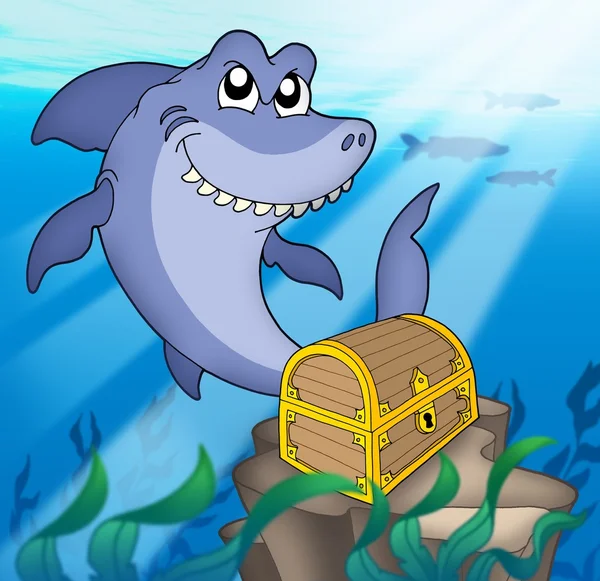Tiburón con cofre del tesoro — Foto de Stock