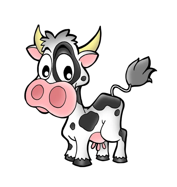 Mała krowa — Zdjęcie stockowe