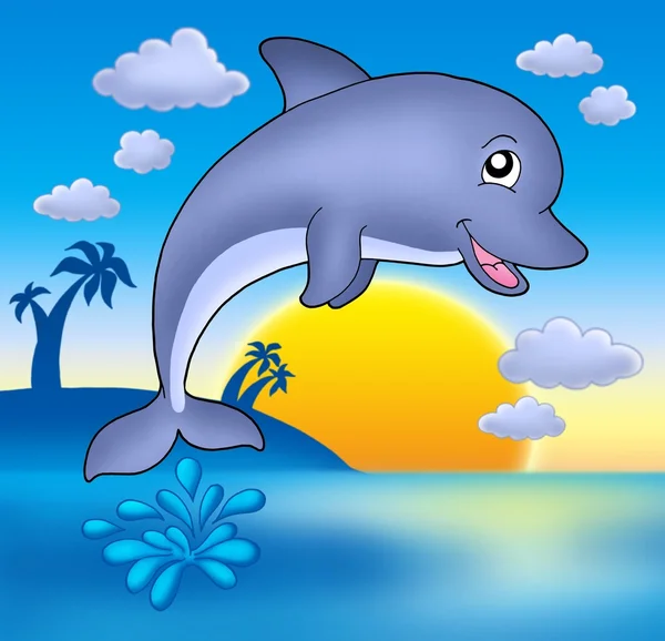 Cute dolphin with sunset — Stock Photo, Image