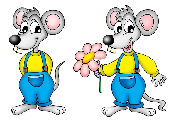 Δύο ποντίκια με λουλούδι — Φωτογραφία Αρχείου