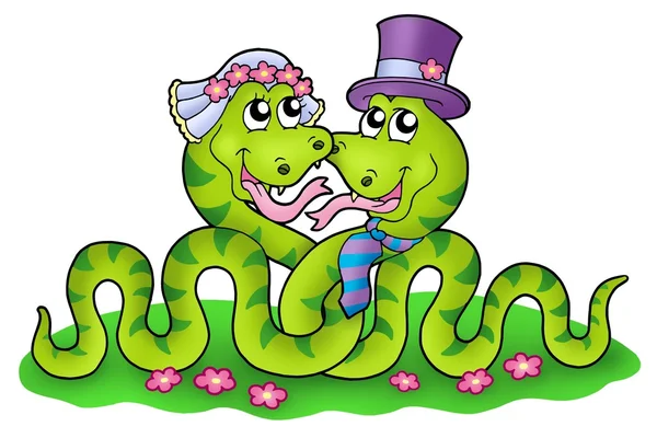 Wedding image with cute snakes — Stock Photo, Image