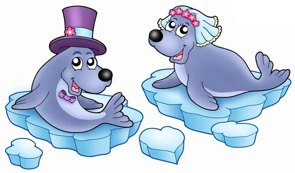 Wedding with cute seals — Stock Photo, Image