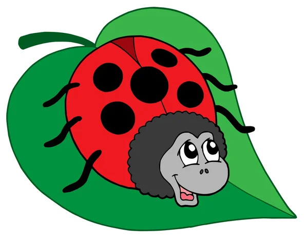 Cute ladybug on leaf vector illustration — Stock Vector