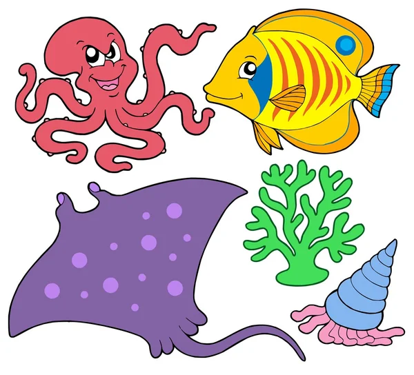 Cute animales marinos imágenes de stock de arte vectorial | Depositphotos