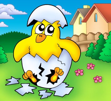 Cute chicken at garden clipart