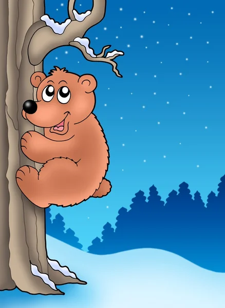 木に登っているかわいいクマ — ストック写真