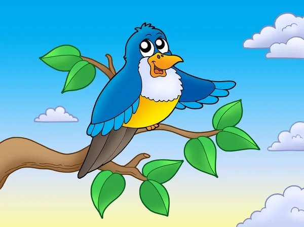 Милая голубая птица на ветке — стоковое фото