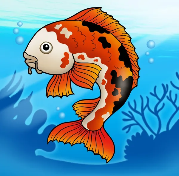 Rote Koi-Fische im Wasser — Stockfoto