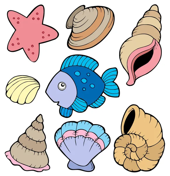 Various shells and fish collection — Stock Vector