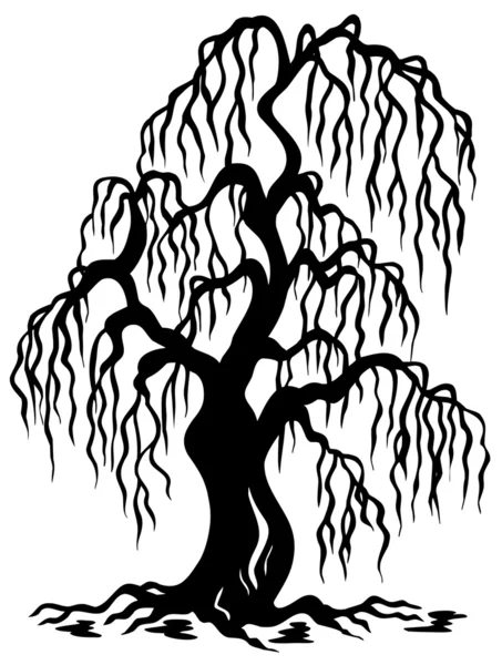 柳の木のシルエット — ストックベクタ