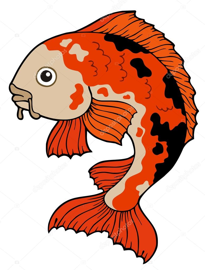 Koi fish cartoon Vector Art Stock Images | Depositphotos