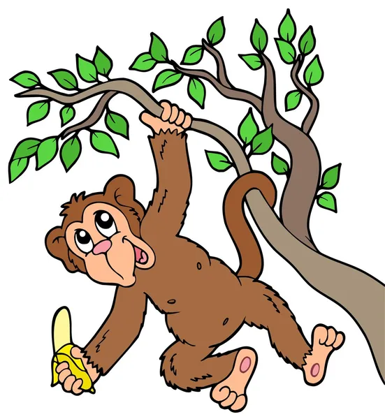 Macaco com banana na árvore — Vetor de Stock