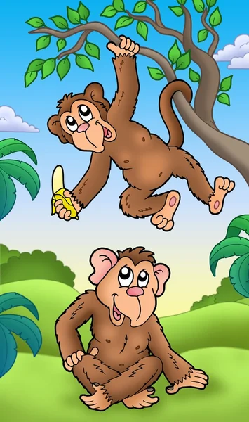 Två tecknade apor — Stock fotografie