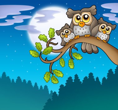 Cute owls on branch at night clipart