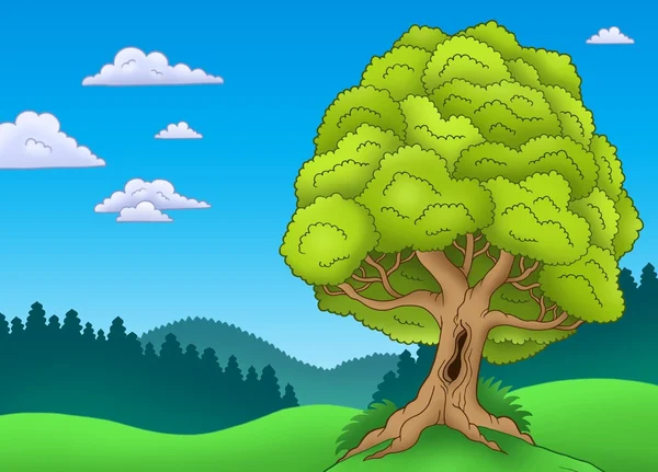 Большое листовое дерево в пейзаже — стоковое фото