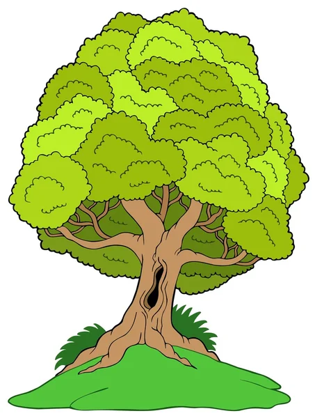 Árvore folhosa na colina — Vetor de Stock
