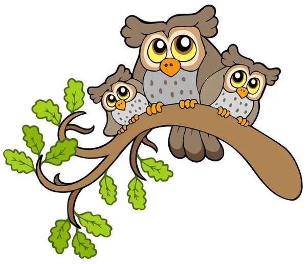 Three cute owls on branch — Stock Vector