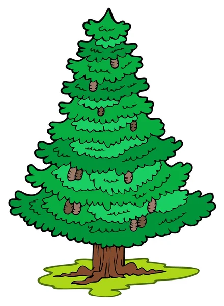 Cartoon coniferous tree — Stock Vector
