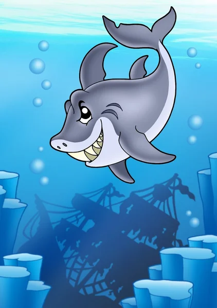 Rekin z tajemniczy wrak — Zdjęcie stockowe
