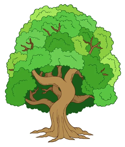 Yeşil yapraklı ağaç — Stok Vektör