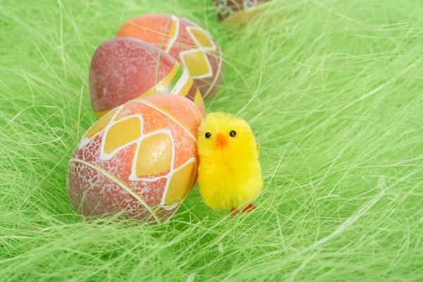 Easter chick — Stock Photo, Image