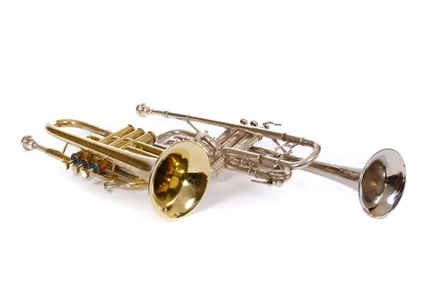 Zwei Trompeten — Stockfoto