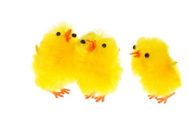 Yellow chicklings clipart