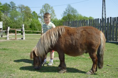 Boy with pony clipart