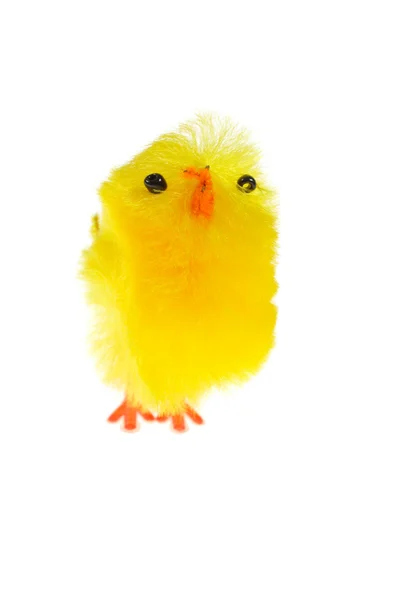 Chickling — Stock Photo, Image