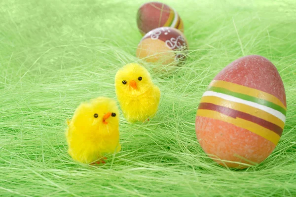 Polluelos y pintado colorido huevo de Pascua —  Fotos de Stock
