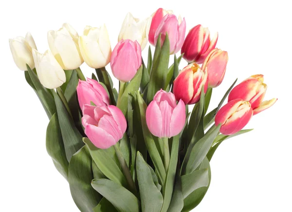 Букет зі свіжих тюльпанів — стокове фото