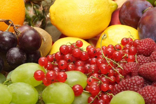 Großer Haufen frischer Früchte — Stockfoto